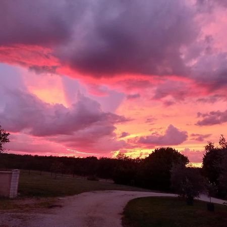 Gite Le Domaine De CamberouxSaint-Marcel-du-Périgord エクステリア 写真